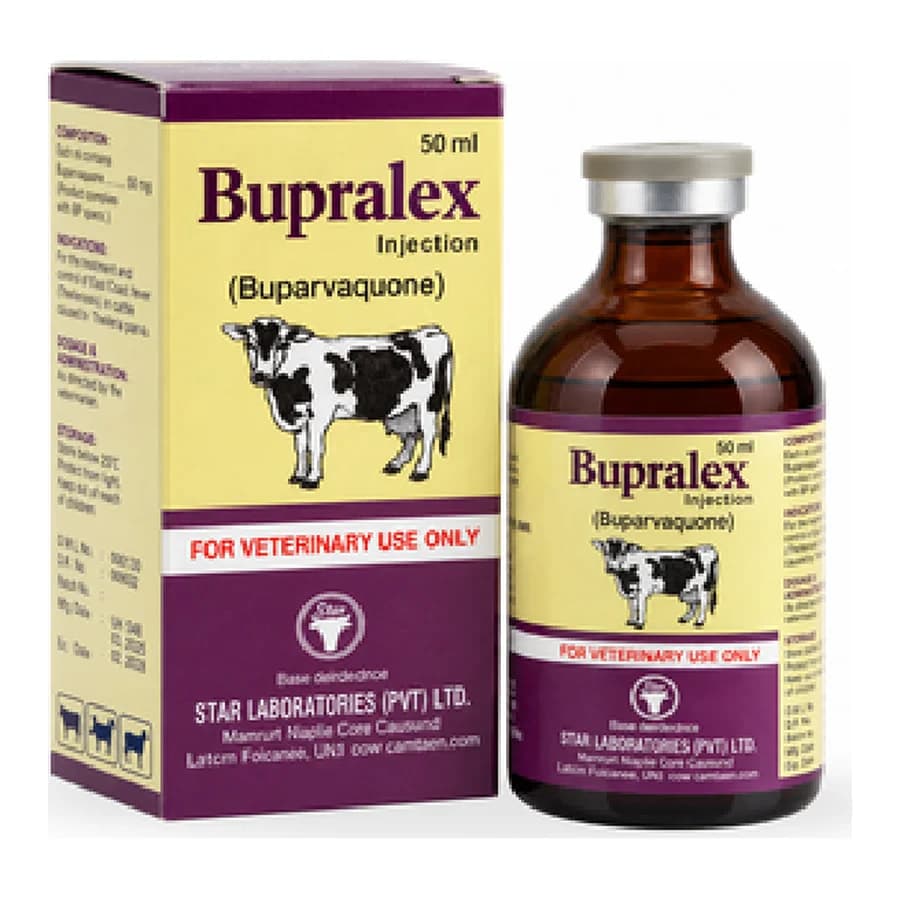 Bupralex Injection packaging