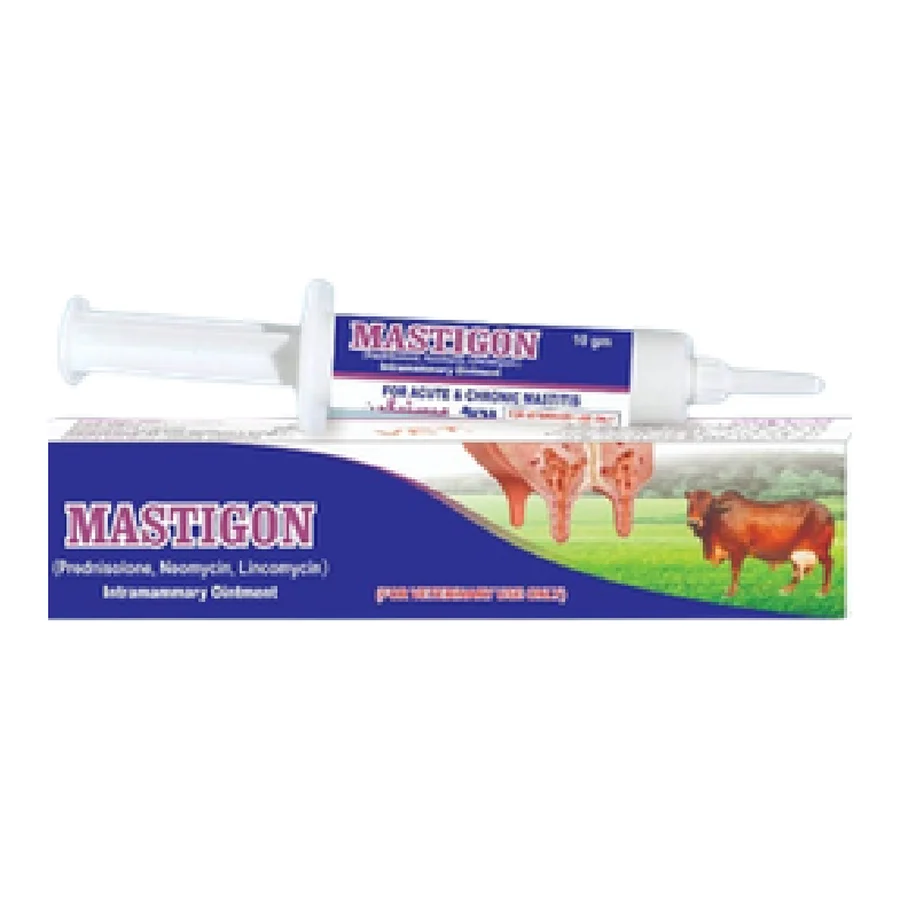 Mastigon Ointment packaging